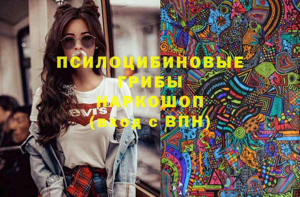 гидра Алзамай