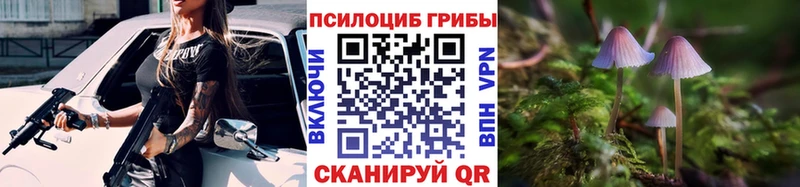 как найти закладки  кракен ССЫЛКА  Псилоцибиновые грибы Cubensis  Краснослободск 